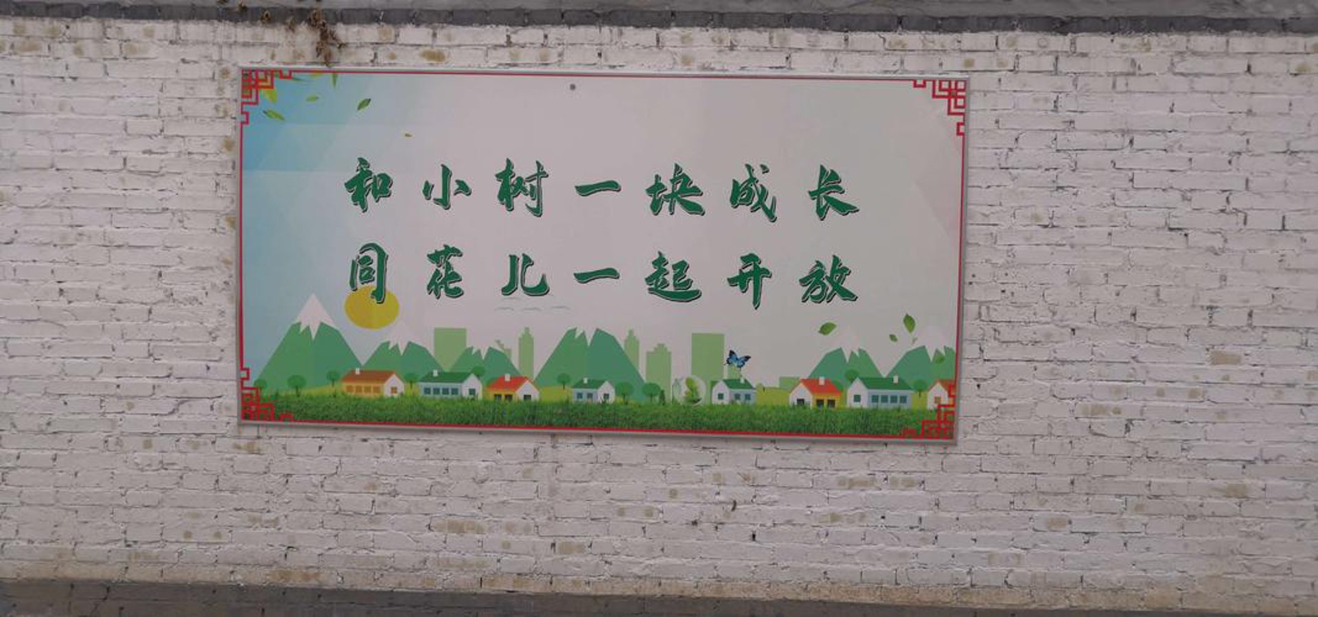 我与它宠物